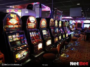g55bet|Conheça bingo online oficial Aposte e Vença